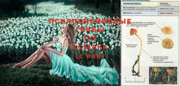 мефедрон мука Киреевск