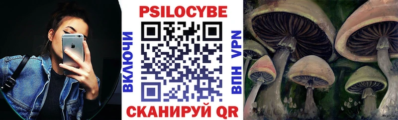 Псилоцибиновые грибы Psilocybe  Купить  Дмитровск 